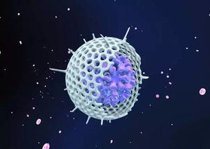 肠道微生物测序 你准备好了吗？——探索微生物世界的奇妙之旅