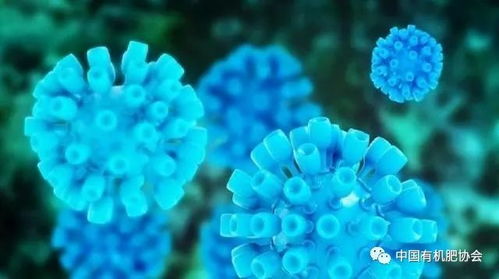 2018风口浪尖的新肥料，微生物菌肥到底有没有用？真的那么神吗？